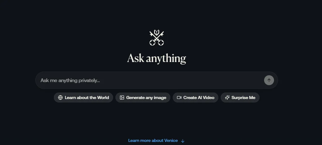Detailed crop of the Venice AI private prompt input